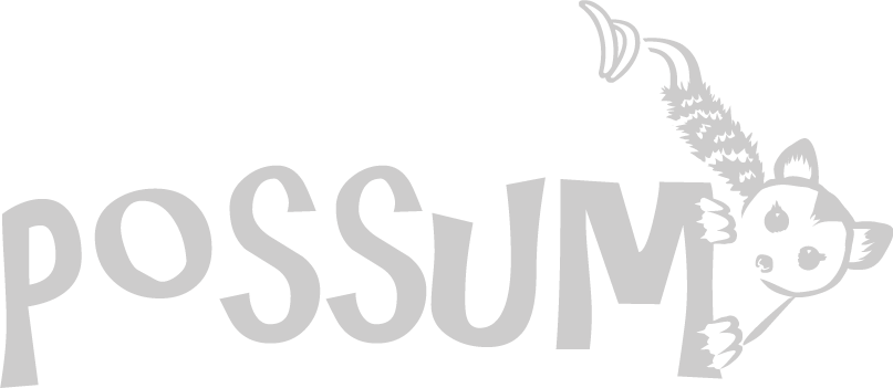 Brand Possum Website Design